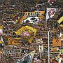 13.8.2015  SG Dynamo Dresden - FC Rot-Weiss Erfurt  3-1_23